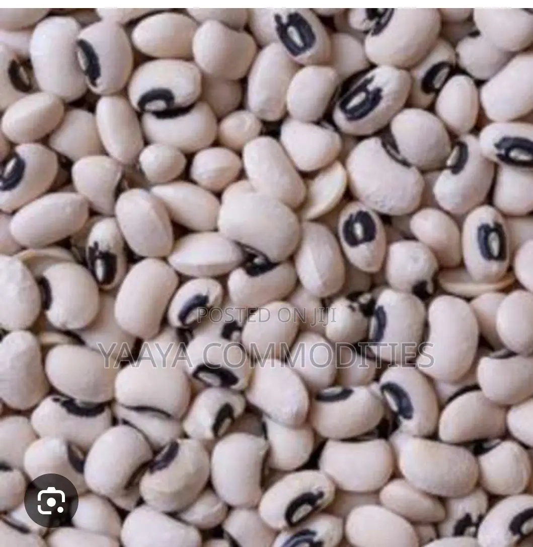 Bean - Organic