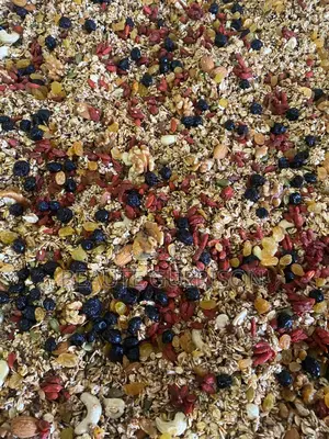 15seeds Nuts High Protein and Fiber Rich Wellness Support Granola Mix