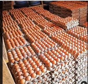 Emefa's Eggs