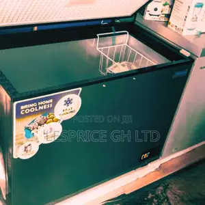 Large Capacity Nasco 250l Chest Freezer