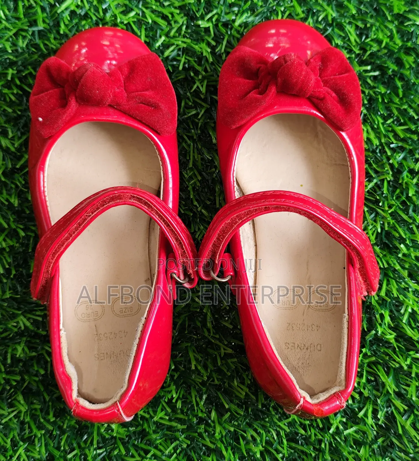 Mary Jane Ballet