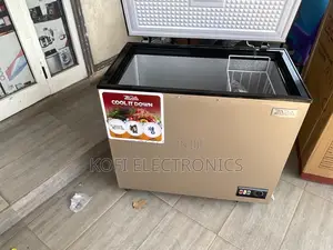 Zara 238l Chest Freezer Roomy, Cold-Holding Storage