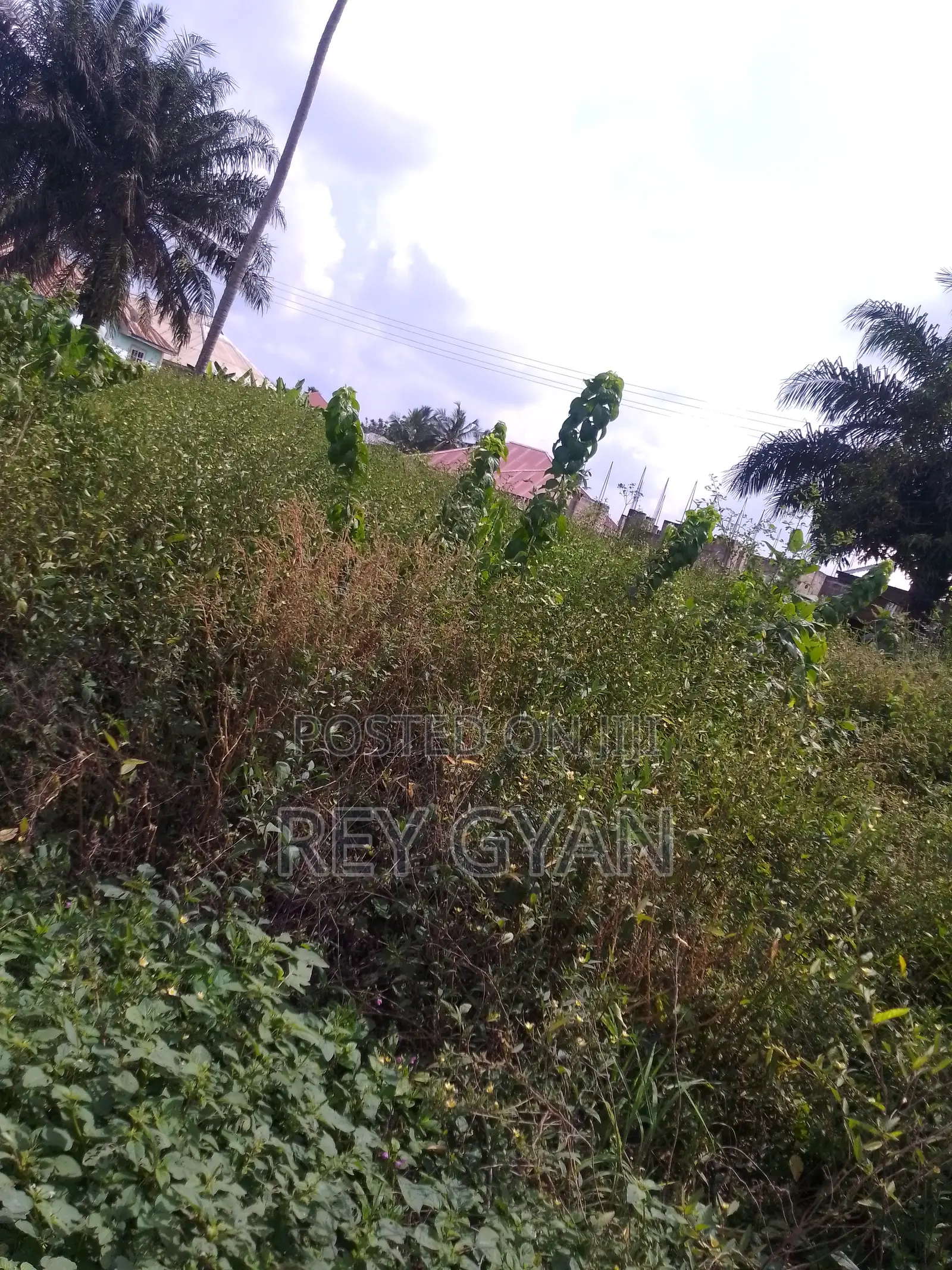 Botwe Estate Half Plot Available at Agona Swedru.