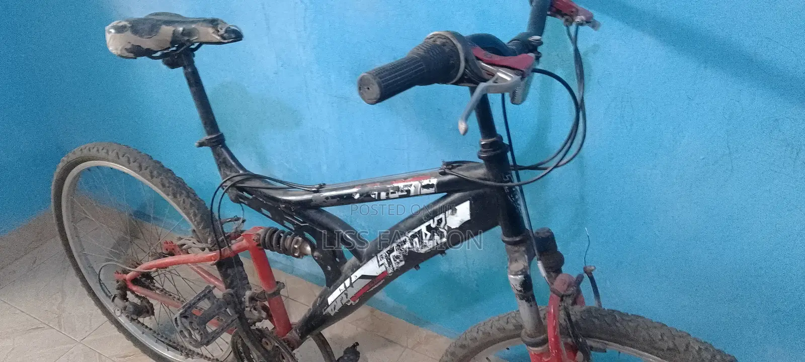 Used Bicycle