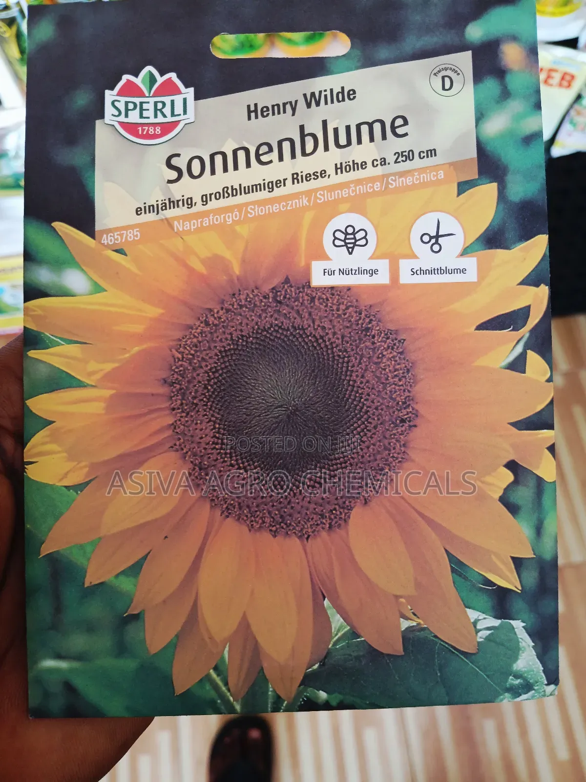 Sunflower(Henry Wilde) Seeds