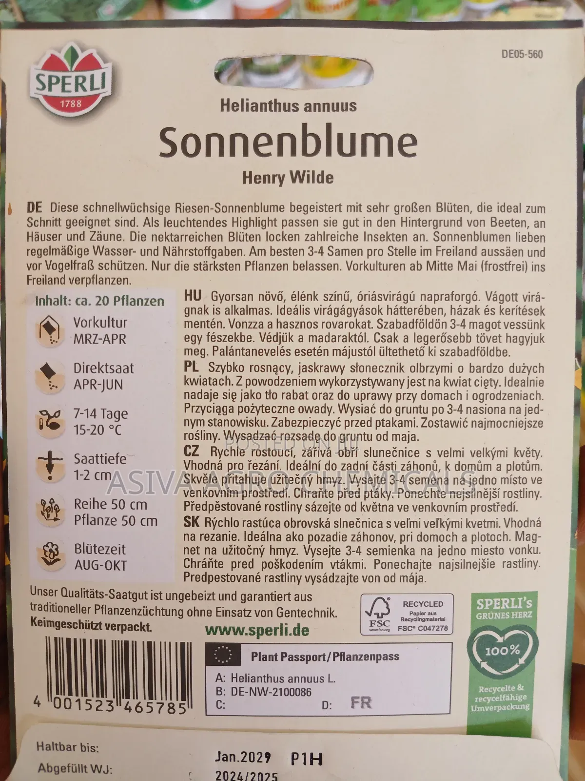 Sunflower(Henry Wilde) Seeds