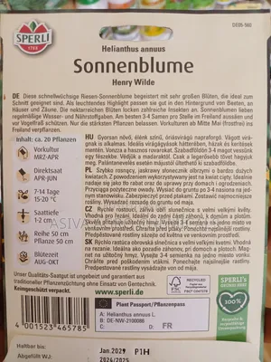 Sunflower(Henry Wilde) Seeds