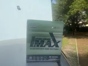 13 Plate Car Battery