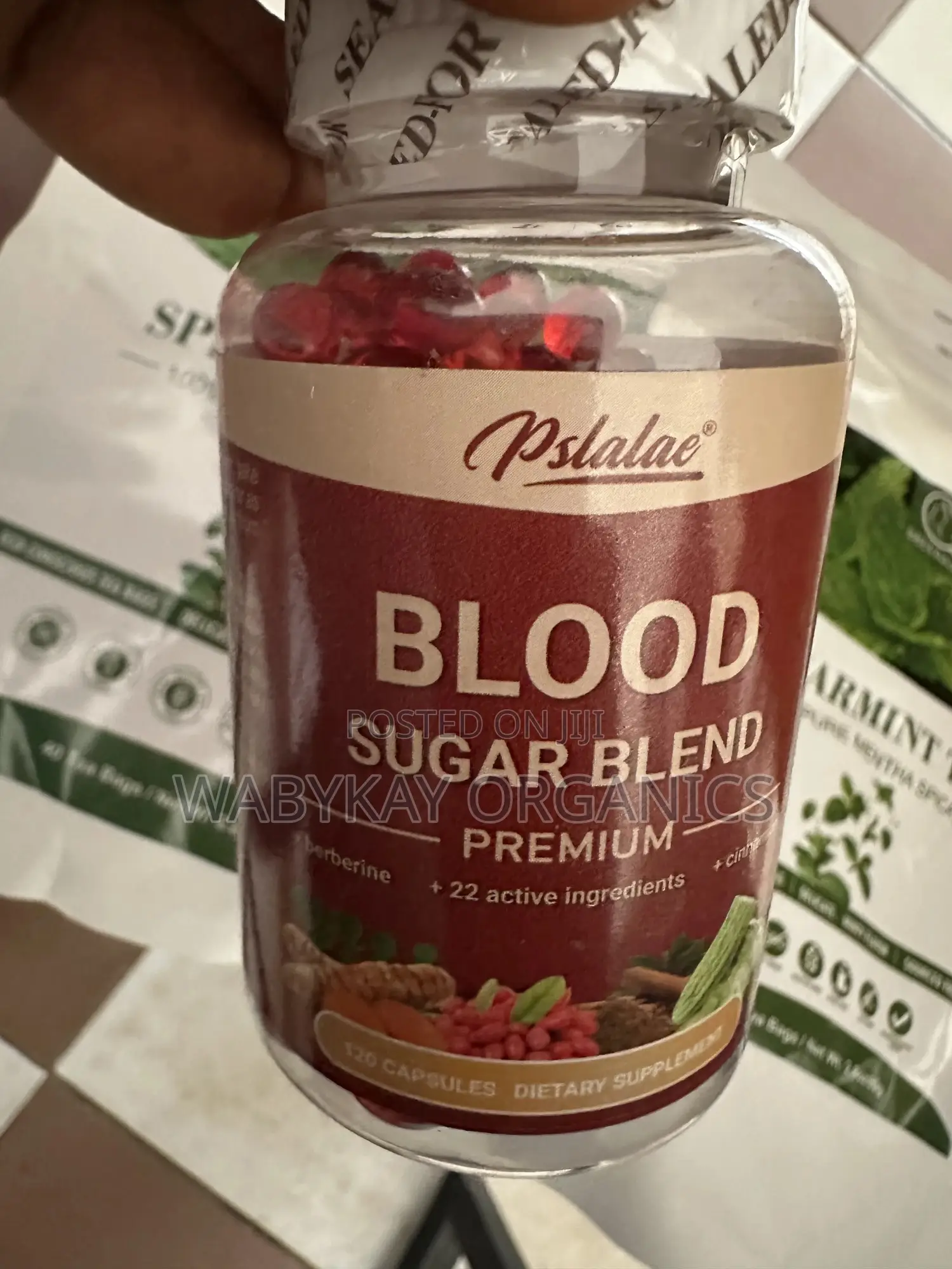 Blood Sugar Support- 120 Capsules