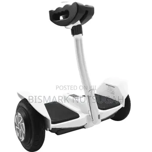 Two Wheels Big Size Electric Self-balance Scooter