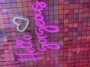 Ballon Backdrop for Suitable for Birthday,Bridal Shower,Events