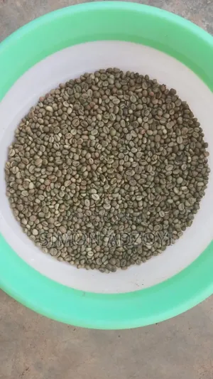 Roasted Coffee Beans for Sale