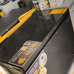 Nasco 250-liter Chest Freezer – Energy Efficient