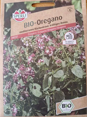 Oregano Seeds