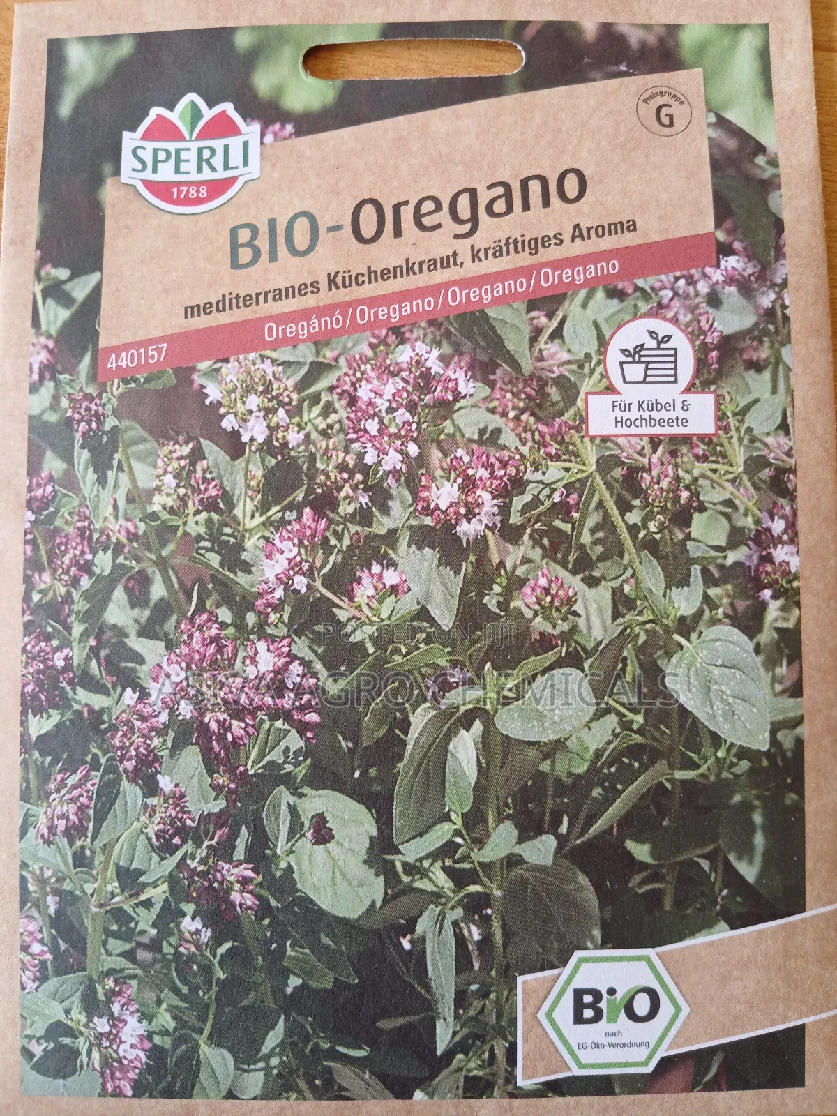 Oregano Seeds
