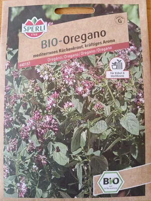 Oregano Seeds