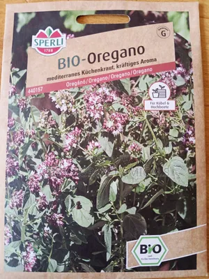 Oregano Seeds