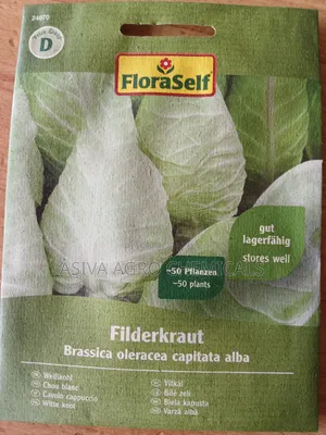 Long/ Pointed Cabbage