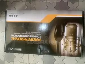 V8s Condenser Microphone