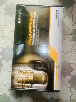 V8s Condenser Microphone