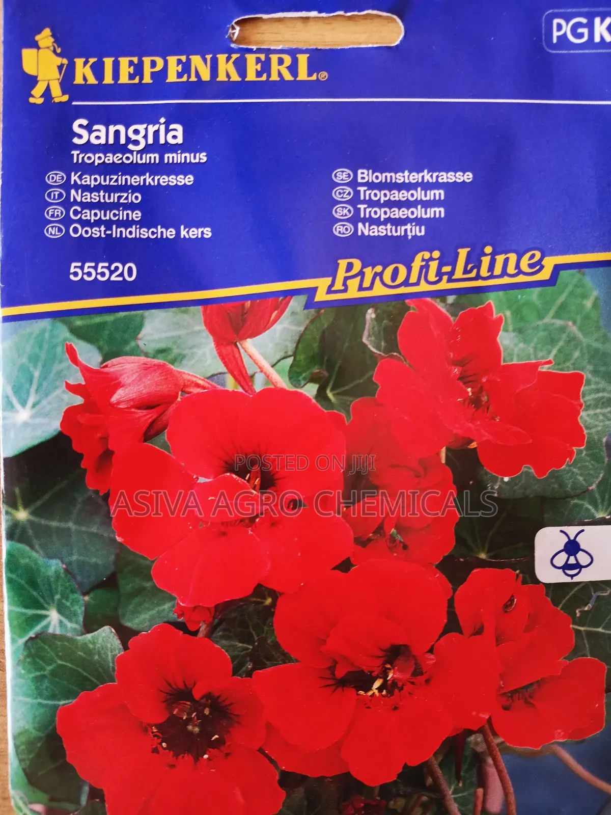 Nasturtium Sangria Flower Seeds
