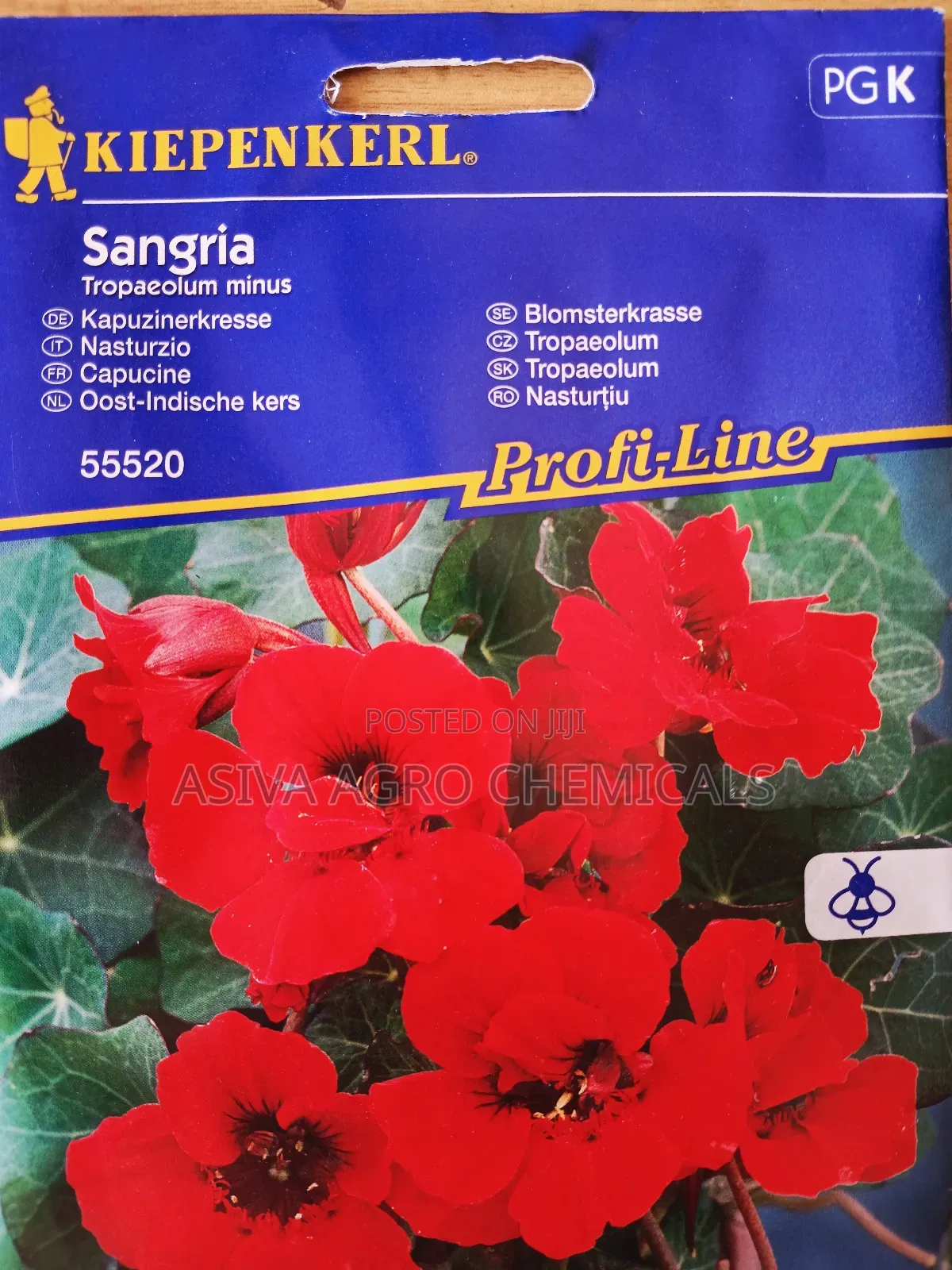 Nasturtium Sangria Flower Seeds