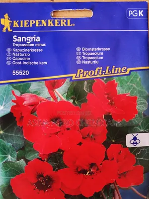 Nasturtium Sangria Flower Seeds