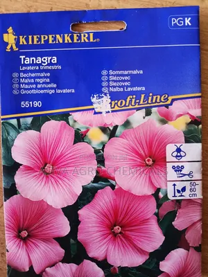 Annual Mallow/ Malva Trimestris Flower Seeds