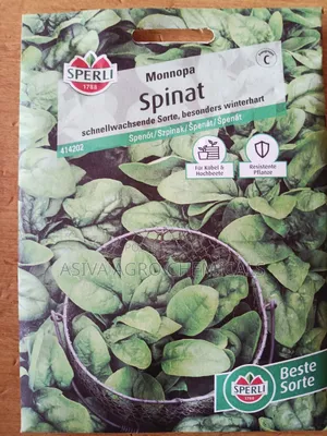 Spinach Seeds