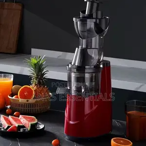 Sokany Whole Slow Juicer 300w – Original