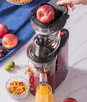 Sokany Whole Slow Juicer Machine 300w