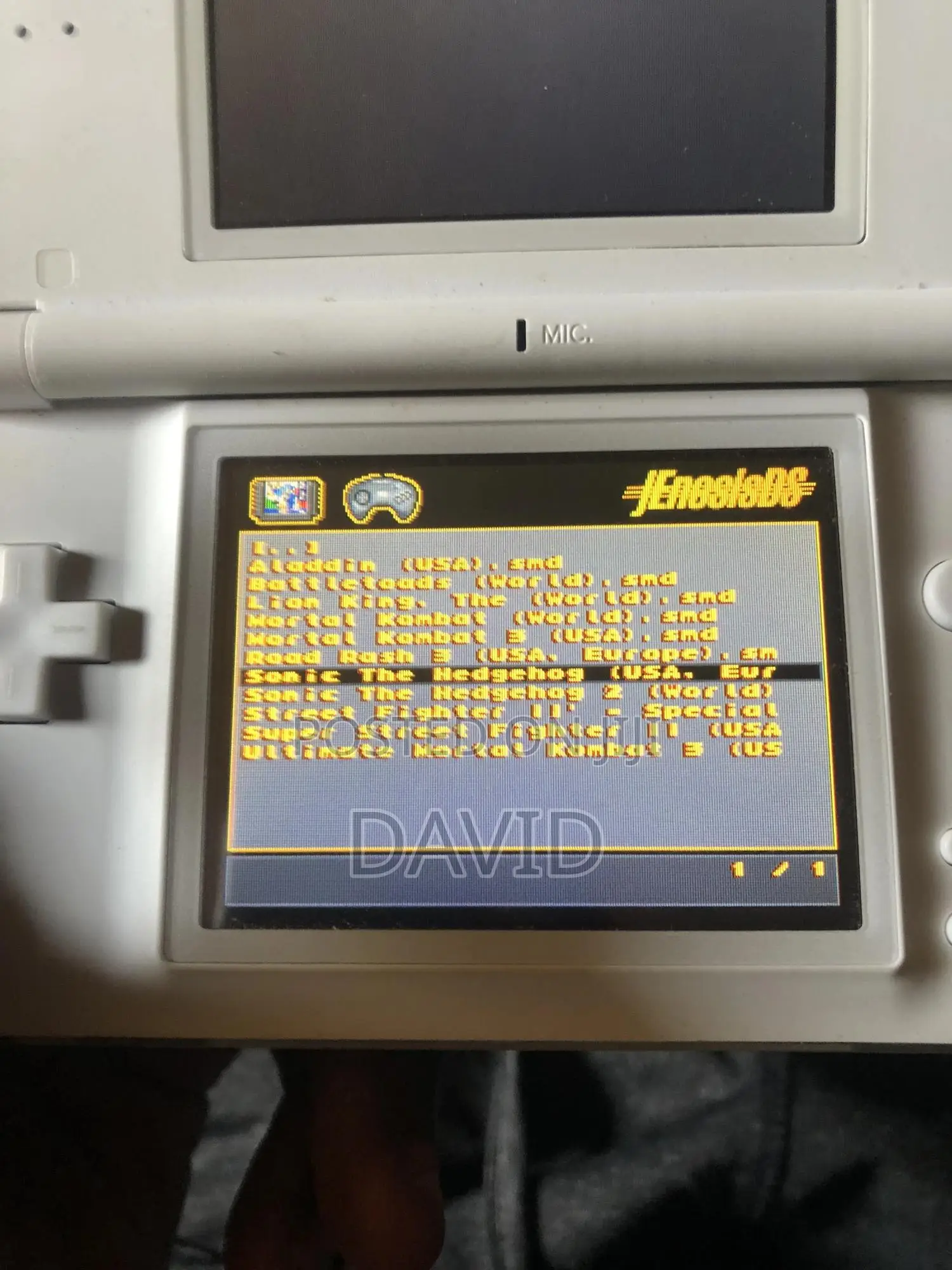 Ninetendo Ds Lite