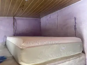 Relax the Back Beds(Double) 54/75 15inches