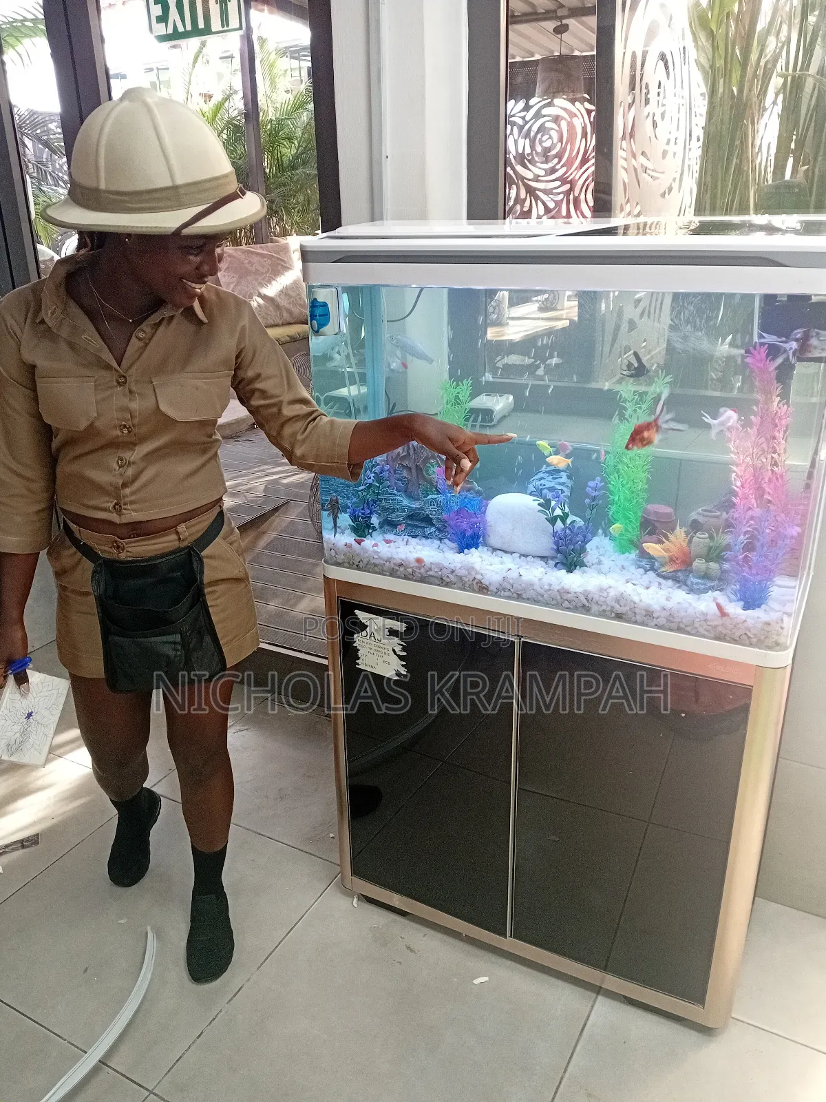 Aquarium Tanks