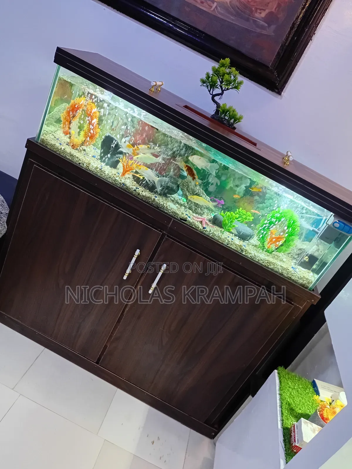 Aquarium Tanks