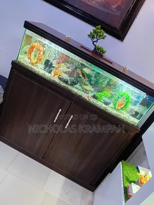 Aquarium Tanks