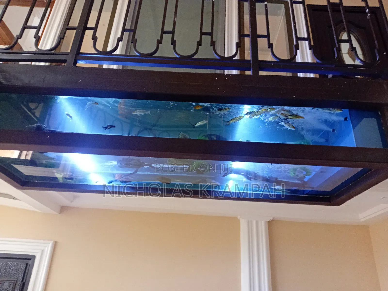 Aquarium Tanks
