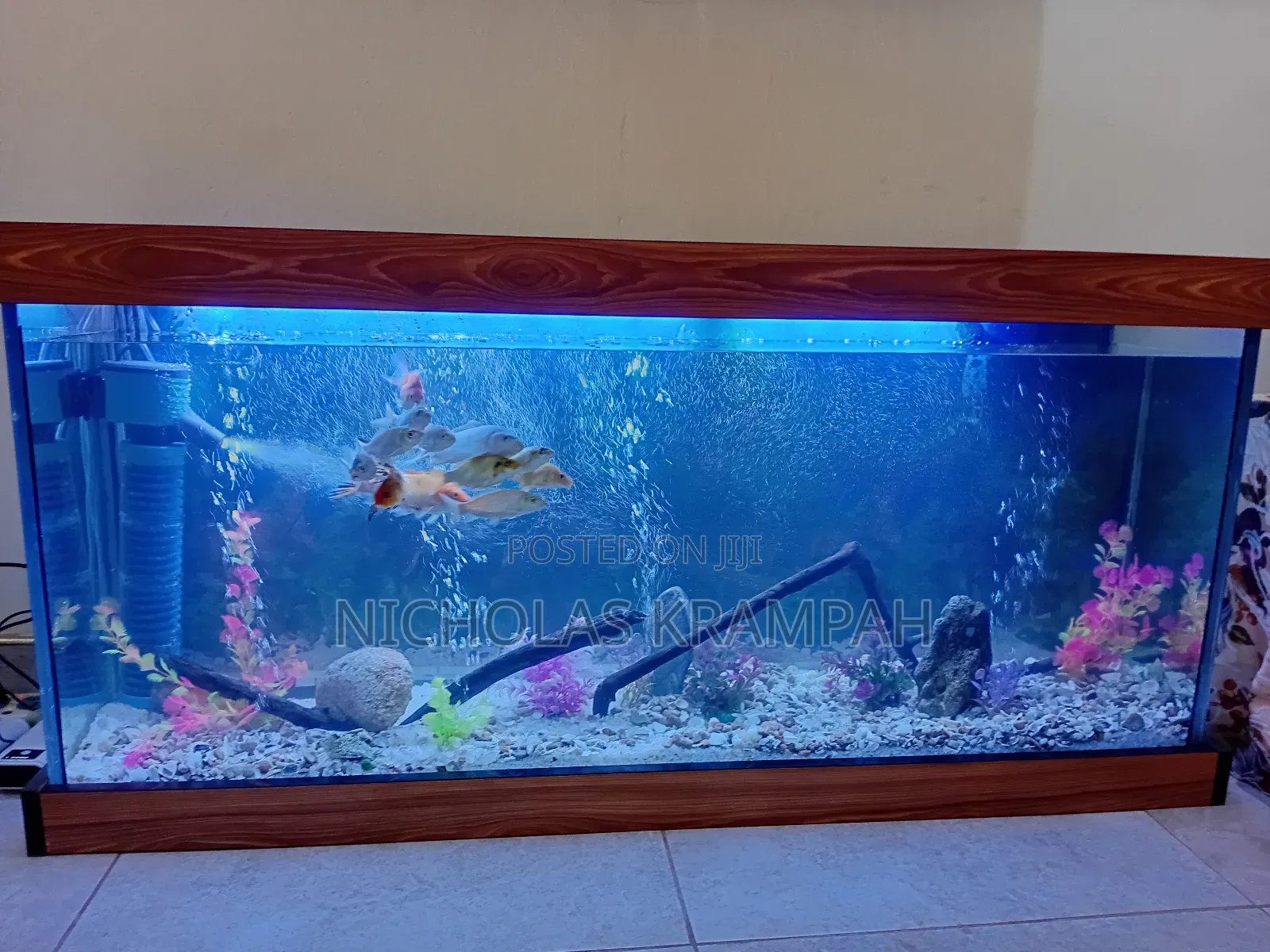 Aquarium Tank
