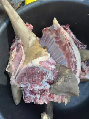 Goat Meat for Sale