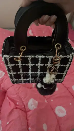 Ladies Handbag