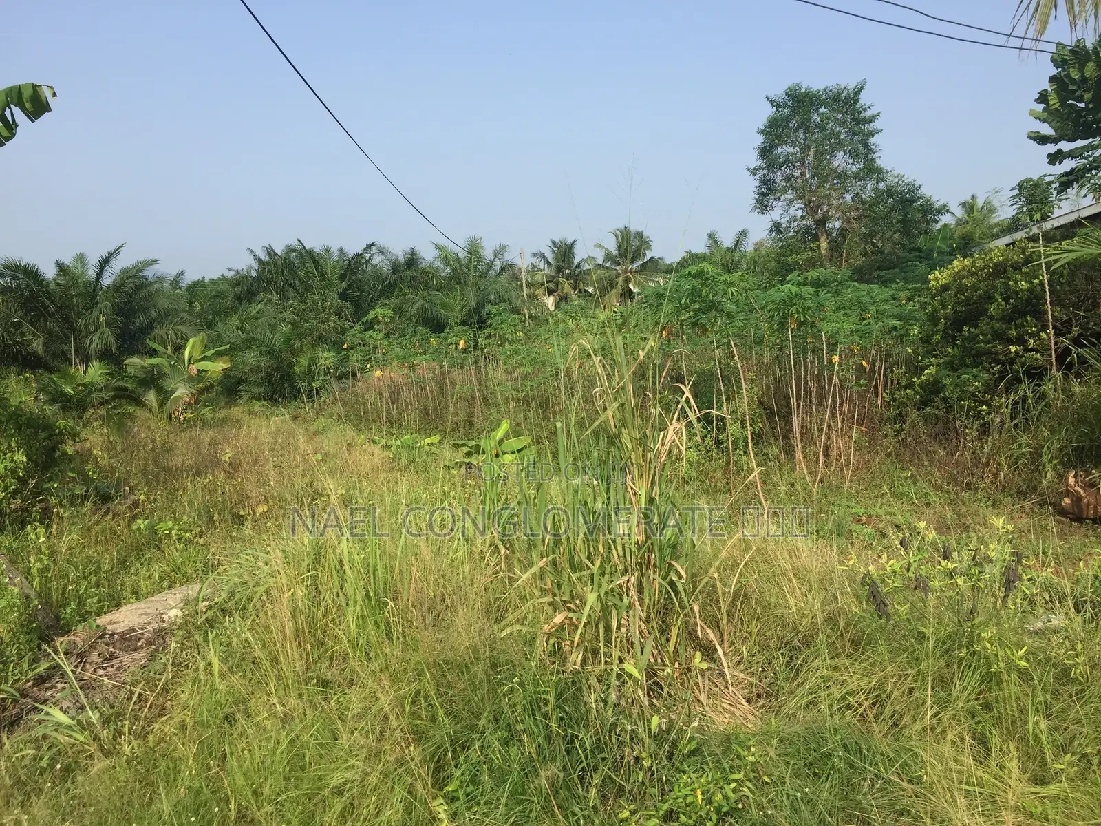 Registered Plots of Land for Sale at Okanta(Nsawam)