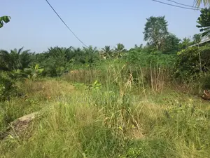 Registered Plots of Land for Sale at Okanta(Nsawam)