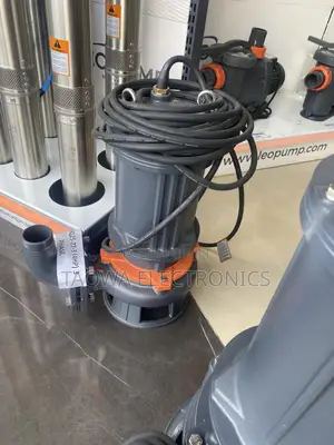 65wq25-22-3 Leo 4hp Sewage Pump