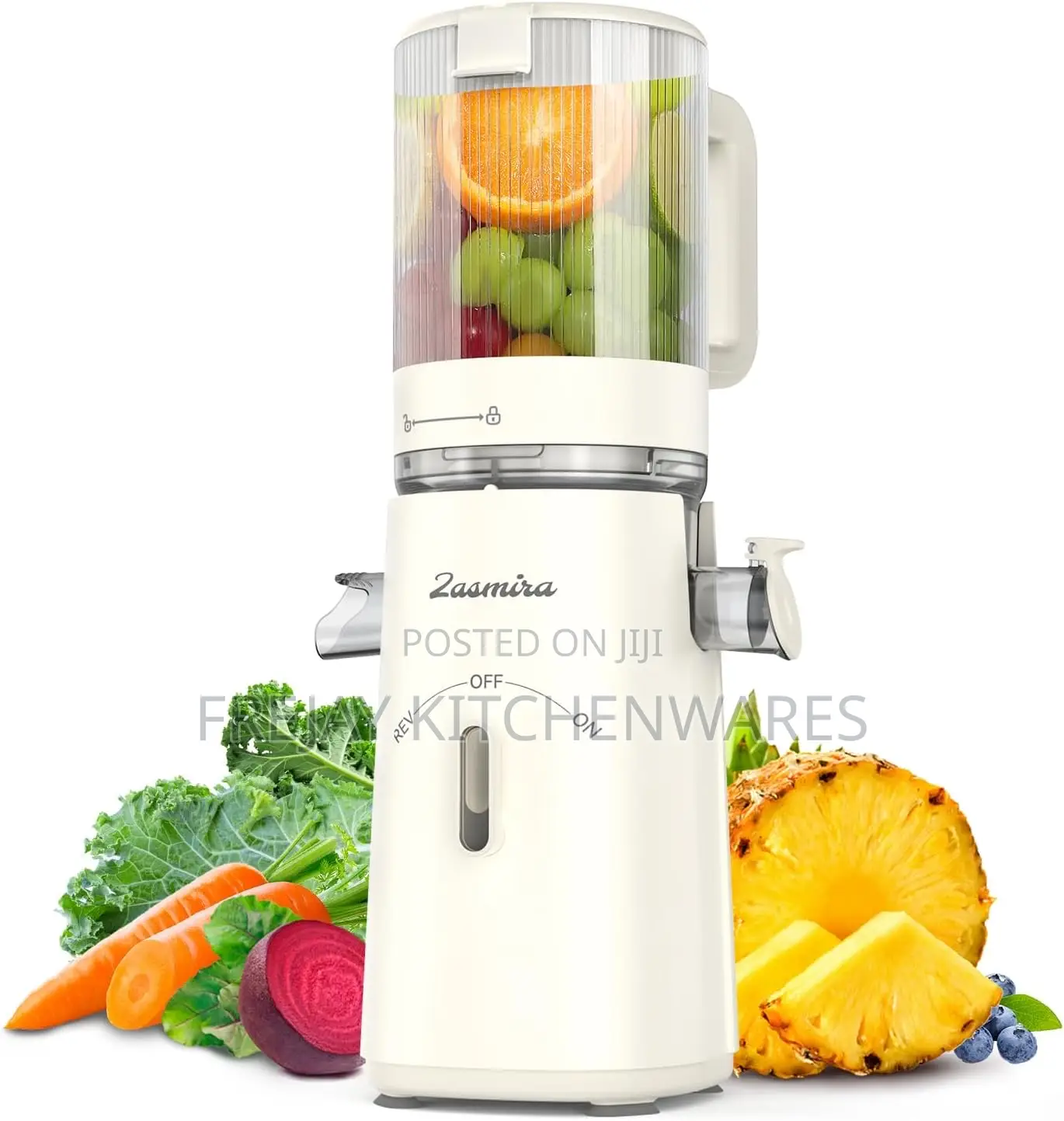 Zasmira Cold Press Slow Juicer