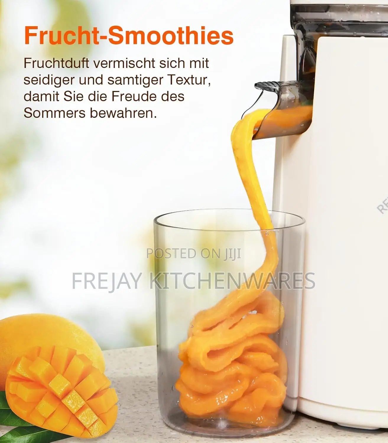 Zasmira Cold Press Slow Juicer