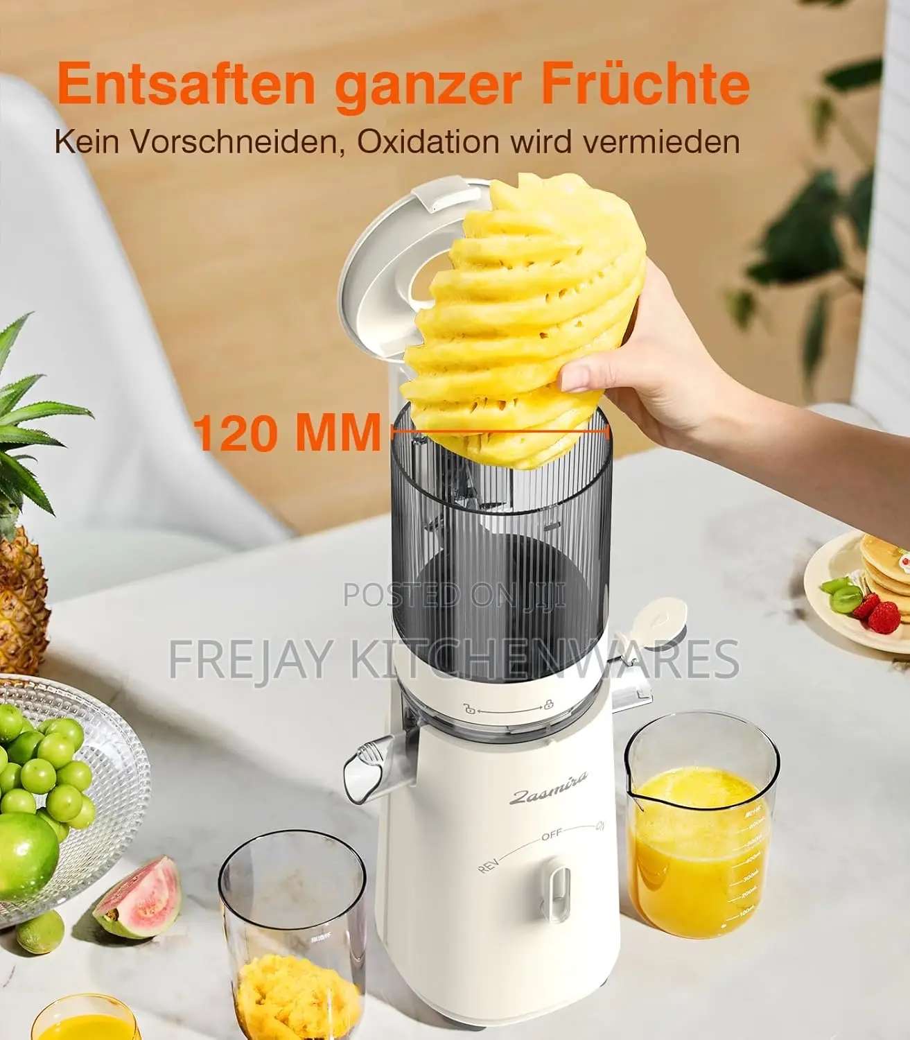 Zasmira Cold Press Slow Juicer