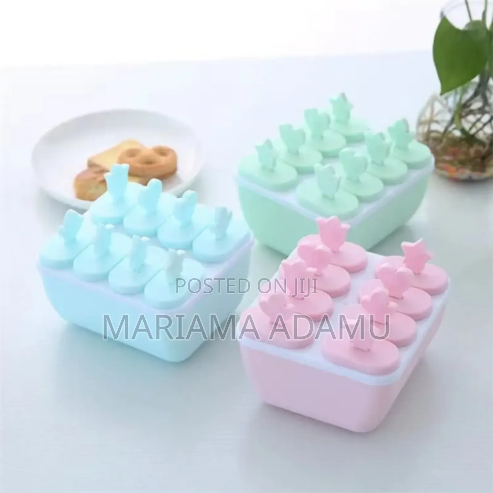 Ice Cream Molds