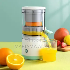 Fruit Juicer