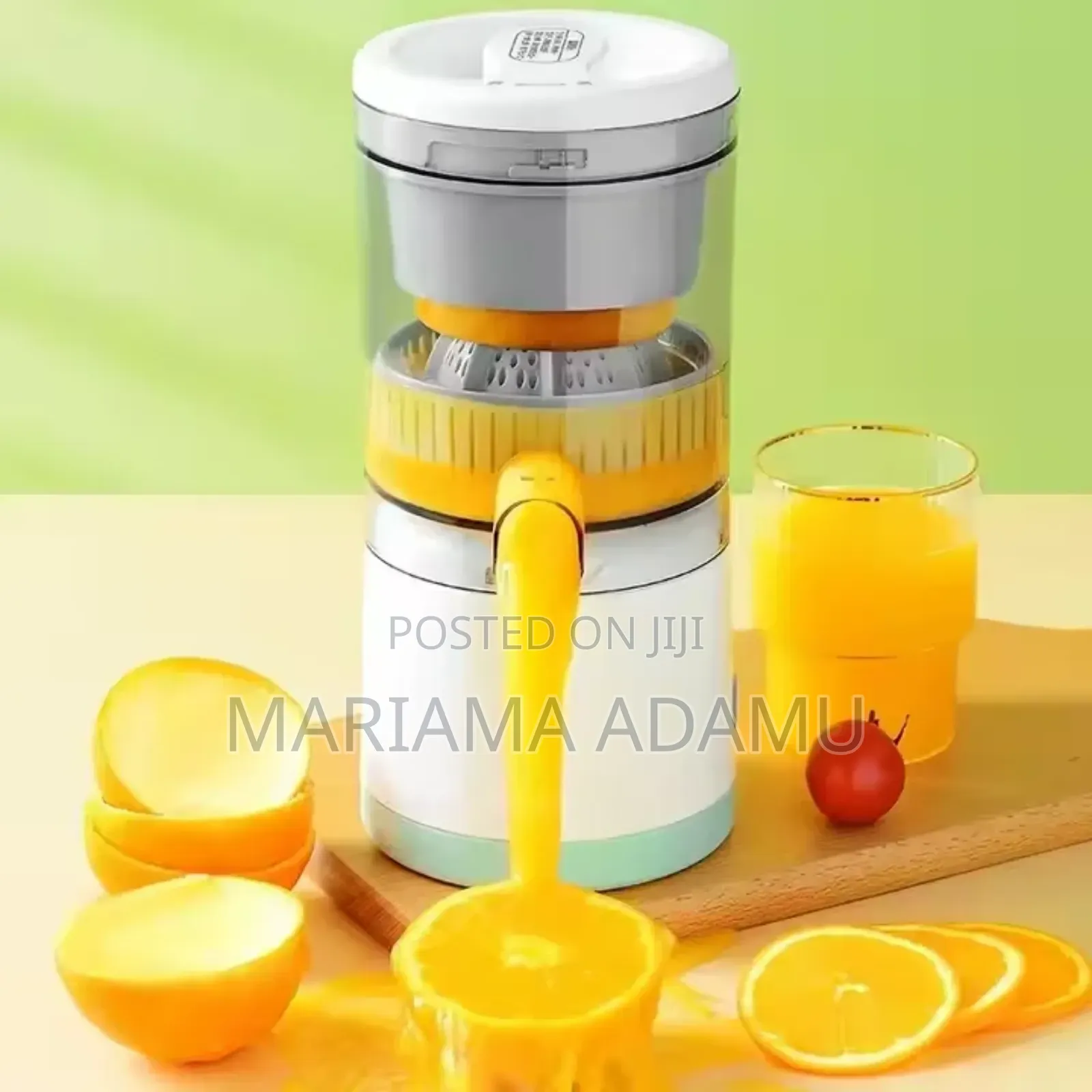 Fruit Juicer