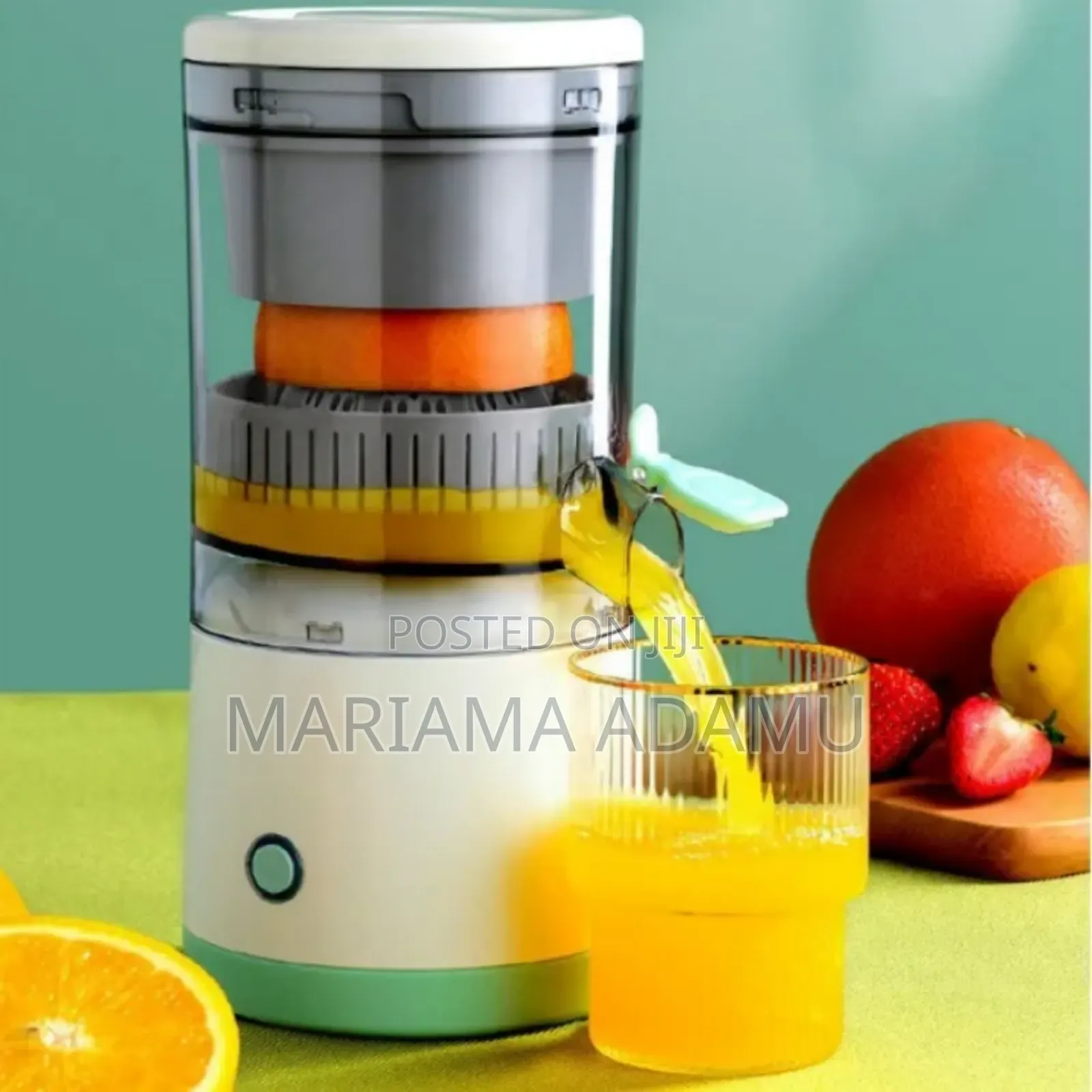 Fruit Juicer
